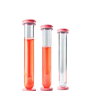 Годовые программы